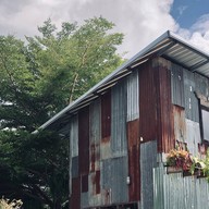 Freewill Natural Inspires