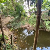 มลิวัลย์อาหารตามสั่ง