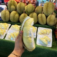 เจ้ดาวเรืองผลไม้ตามฤดูกาล by ขุนอิง