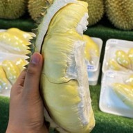 เจ้ดาวเรืองผลไม้ตามฤดูกาล by ขุนอิง