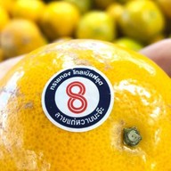 เจ้ดาวเรืองผลไม้ตามฤดูกาล by ขุนอิง