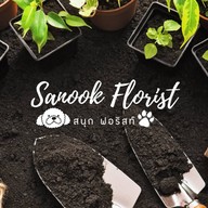 สนุกฟอริสท์ Sanook Florist ต้นไม้ ดอกไม้ สวยงาม ดอนเมือง