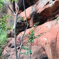 อุทยานแห่งชาติภูลังกา