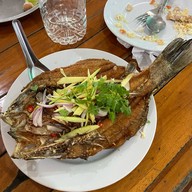 แกงป่าป้ายา