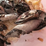 เมนูของร้าน ข้าวมันไก่ไทย ศิริฟาร์ม