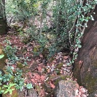 อุทยานแห่งชาติภูลังกา