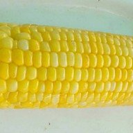 ร้านกล้วยปิ้ง