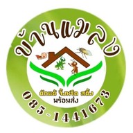 บ้านแมลงอ้อมน้อย