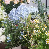 ร้านดอกไม้เจริญศรีมาลา