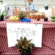 PONGPANG Coffee & Tea