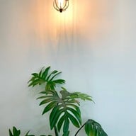 44November coffee (ซอยตรอกมะยม เทศบาล13) 44November