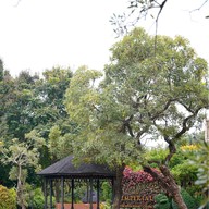 The Imperial River House Resort