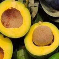 ผึ้งหวานผลไม้ (เจ๊ดา48)