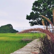 บรรยากาศ ส้มตำสมัยฉาน