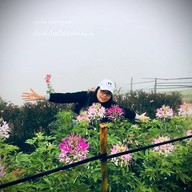 พระตำหนักเขาค้อ-เขาค้อ