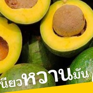 ผึ้งหวานผลไม้ (เจ๊ดา48)