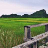 บรรยากาศ ส้มตำสมัยฉาน