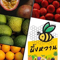 ผึ้งหวานผลไม้ (เจ๊ดา48)
