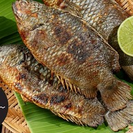 ปลาหมอเผา ณ เชียงใหม่