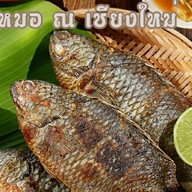 ปลาหมอเผา ณ เชียงใหม่