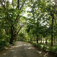 บรรยากาศ แคมป์ไฟ คาเฟ่ เขาใหญ่
