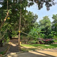 บรรยากาศ พิซซ่าเตาฟืน บ้านไร่-ริมนา