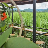 บรรยากาศ Olna X PY ROASTERS