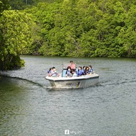 แมงโกรฟบังกะโลแอนด์เรสเตอรองท์