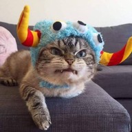 ร้านเปาโภชนา