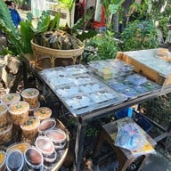 บรรยากาศ ก๋วยเตี๋ยวเรือในคลอง อยุธยา