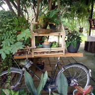 บรรยากาศ บ้านจ๋า คาเฟ่