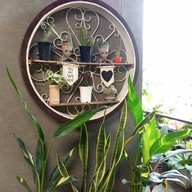 บ้านจ๋า คาเฟ่