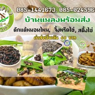 บ้านแมลงอ้อมน้อย