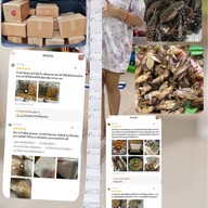 บ้านแมลงอ้อมน้อย