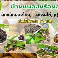 บ้านแมลงอ้อมน้อย