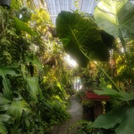 ใบมาก Coffee Park