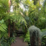 ใบมาก Coffee Park