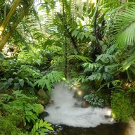 ใบมาก Coffee Park