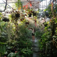 ใบมาก Coffee Park