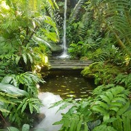 ใบมาก Coffee Park