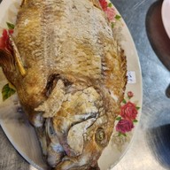 ไผ่ราชาปลาเผา