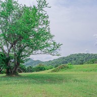 มวกเหล็กฟอเรสต์รีสอร์ท