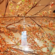 Wasabi Japanese Restaurant มีโชคพลาซ่า