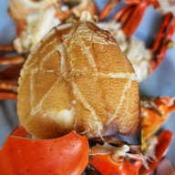 เมนูของร้าน สวนอาหารเพื่อน บางขันแตก