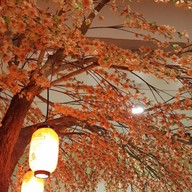 Wasabi Japanese Restaurant มีโชคพลาซ่า