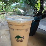 บ้านป่ากาแฟสด
