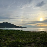 ร้านอาหารลูกตาล