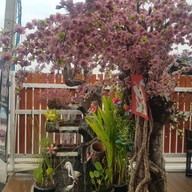 บรรยากาศ สถานีจ่ายน้ำ Cafe'