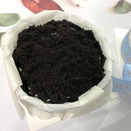 เมนูของร้าน More Than A Flower