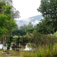 อริสโต